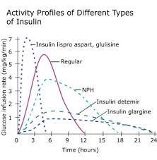 types of insulin diabetes education