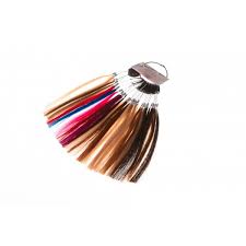 Euro Premium Clip In Hair Extensions Colour Ring