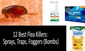 fleas quickly best flea