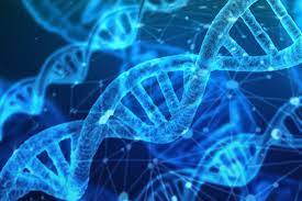 ห้องปฏิบัติการ ดีเอ็นเอ เทคโนโลยี (DNA TEC)