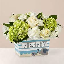 Allysonsflowers.com has been visited by 10k+ users in the past month New Baby Flowers Deliver Flowers For New Baby Proflowers