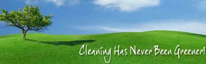 get steam rug cleaning services in