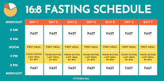16 8 fasting schedule and meal plan for
