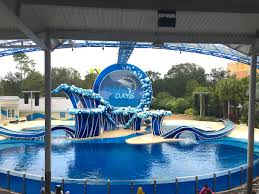 how we did seaworld orlando in one day
