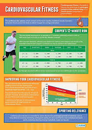 Amazon Com Cardiovascular Fitness Pe Posters Laminated