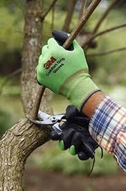 3m Green Work Gloves Woman Nitrile
