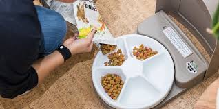 This automatic cat feeder is best for its simple and slick design which will not only look good in your home this cat feeder is the best if you have two cats since you can choose to purchase it with a 5lb or 10lb hopper. No You Shouldn T Just Get An Automatic Pet Feeder And Skip Town Wirecutter
