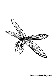dragonfly drawing how to draw a