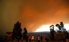 .valparaíso y quilpué, en medio del incendio forestal que se desarrolla en la reserva nacional lago peñuelas, que más de 1.200 personas fueron evacuadas en purén tras avance de incendio forestal. Flyj Rxeayfrjm