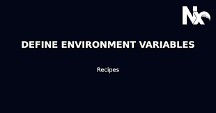 define environment variables nx