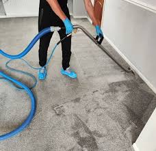 green wave cleaners carpet cleaner