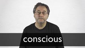 conscious definition and meaning