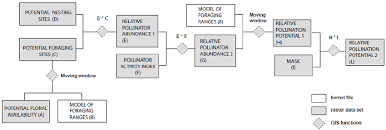 Flow Chart Outlining The Setup Of The Pollination Model