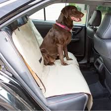 How To Get Pet Hair Off Your Car Seats
