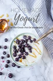 homemade yogurt in the crock pot or