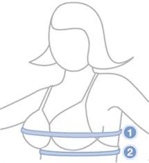 How To Choose The Size Of Easy Expression Bustier Celki