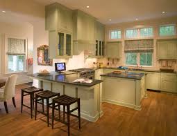 No one has the tools and the time for that. Light Green Cabinets Houzz