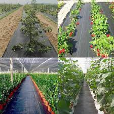 agfabric weed barrier landscape fabric