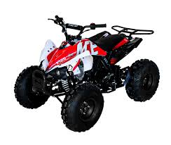 Check spelling or type a new query. Ace 125 Atv 3 Speed With Reverse 8 Wheels Gokarts Usaa