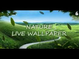 nature live wallpaper you