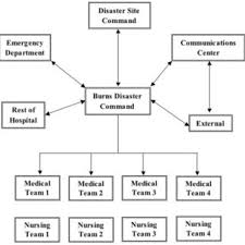Organisation Of Personnel In The Singapore General Hospital