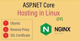 host asp net core on nginx in linux