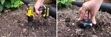 The only way to beat pests at their own game. 3 Reasons Diy Termite Control Is Easier Than You Think Solutions Pest Lawn