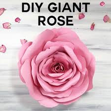 giant flower spellbound rose every