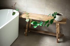 16 Best Plants For Windowless Bathroom