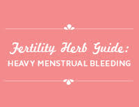 Fertility Herb Guide Heavy Menstrual Bleeding