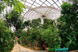 bangkok erfly garden insectarium