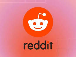 reddit removes chat history