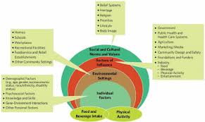 social ecological framework for