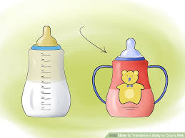 How To Transition A Baby To Cows Milk With Pictures Wikihow
