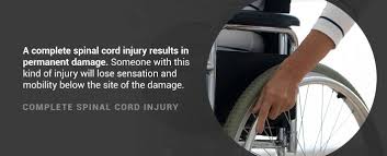 understanding spinal cord injury levels