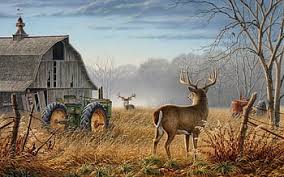 deer hunting for computer background hd