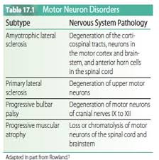 motor neuron disease module flashcards
