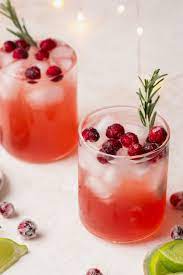 cranberry vodka mistletoe martini with