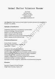 Stay At Home Mom Resume samples  Work Experience thevictorianparlor co