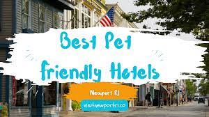 the best pet friendly hotels in newport