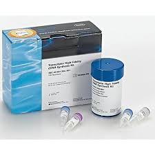 Six replicate cdna reactions were performed for each input. Roche Transcriptor High Fidelity Cdna Synthesis Kit