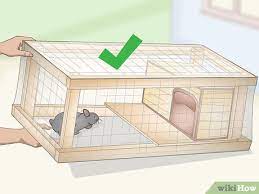 how to build a rabbit cage with pictures