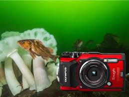 Olympus Tg 5 Camera Review Bluewater Photo