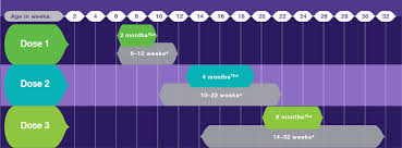 Dosage And Administration For Rotateq Rotavirus Vaccine