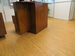 pros and cons of cork wood flooring