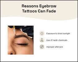 how much do eyebrow tattoos cost