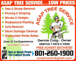 Asap Tree Service Llc Tree Services Ksl Services