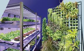 Vertical Gardening At Home