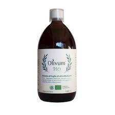 olivum bio olive leaf extract
