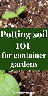 Potting Soil 101 For Container Gardens